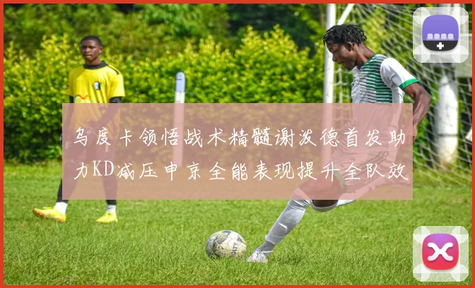 乌度卡领悟战术精髓谢泼德首发助力KD减压申京全能表现提升全队效率
