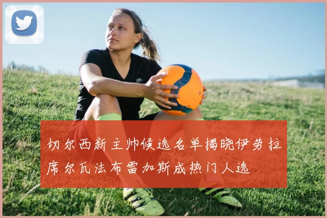 切尔西新主帅候选名单揭晓伊劳拉席尔瓦法布雷加斯成热门人选